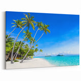 Fiji Palm Paradise - Fiji Beach Decor