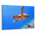 Exotic Fiji Wall Decor - Sea Turtle Ocean Art