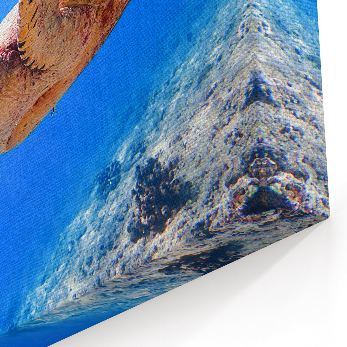 Exotic Fiji Wall Decor - Sea Turtle Ocean Art