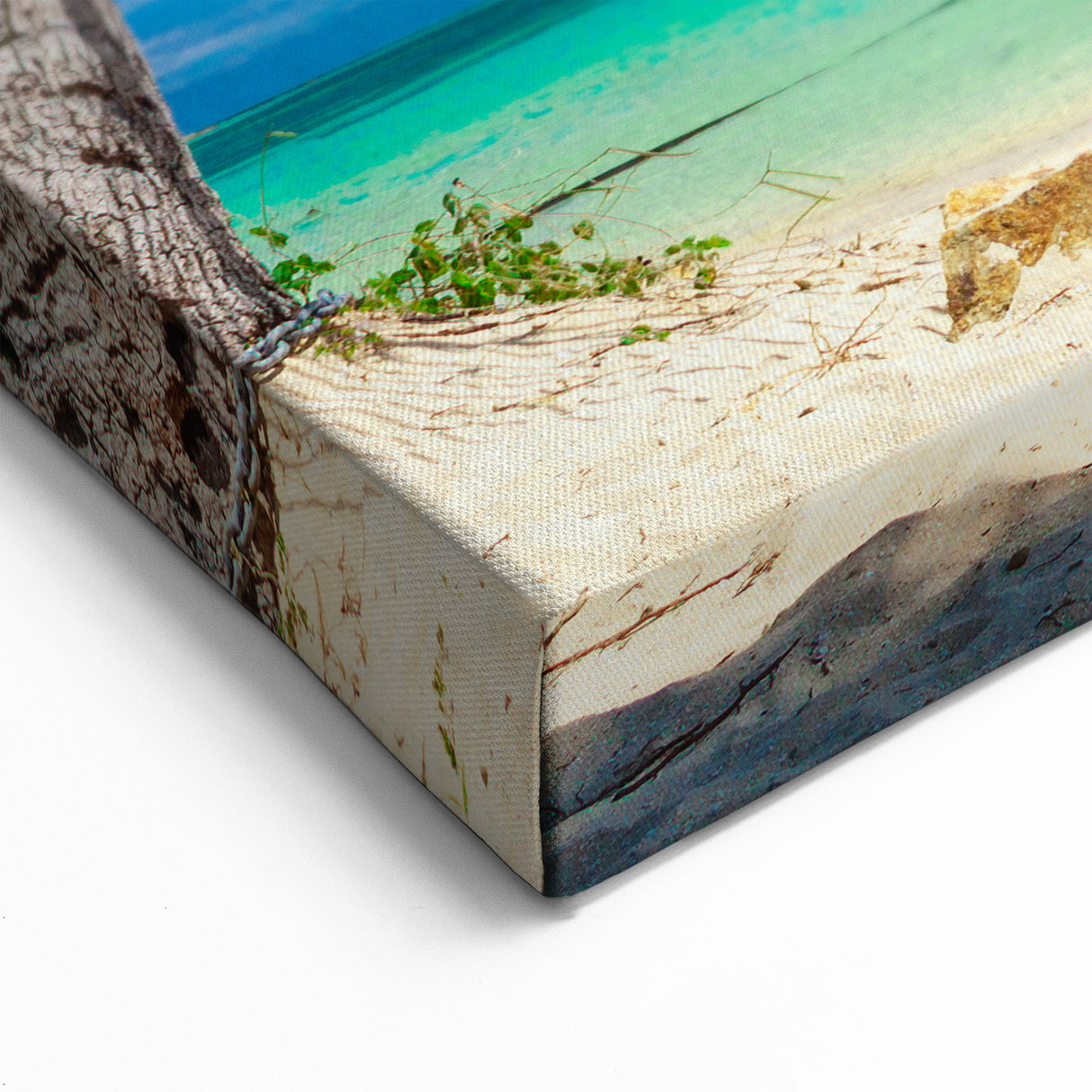 Fiji Landscape Artwork - Serene Hammock Beach Art