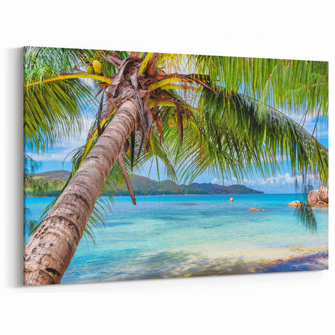 Tropical Fiji Canvas - Coastal Palm View Art