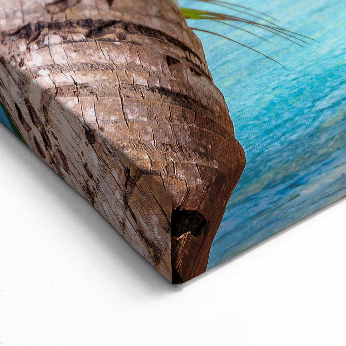 Tropical Fiji Canvas - Coastal Palm View Art