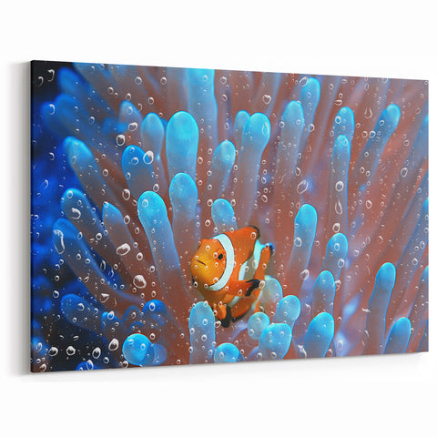 Exotic Fiji Nature Prints - Clownfish Coral Art