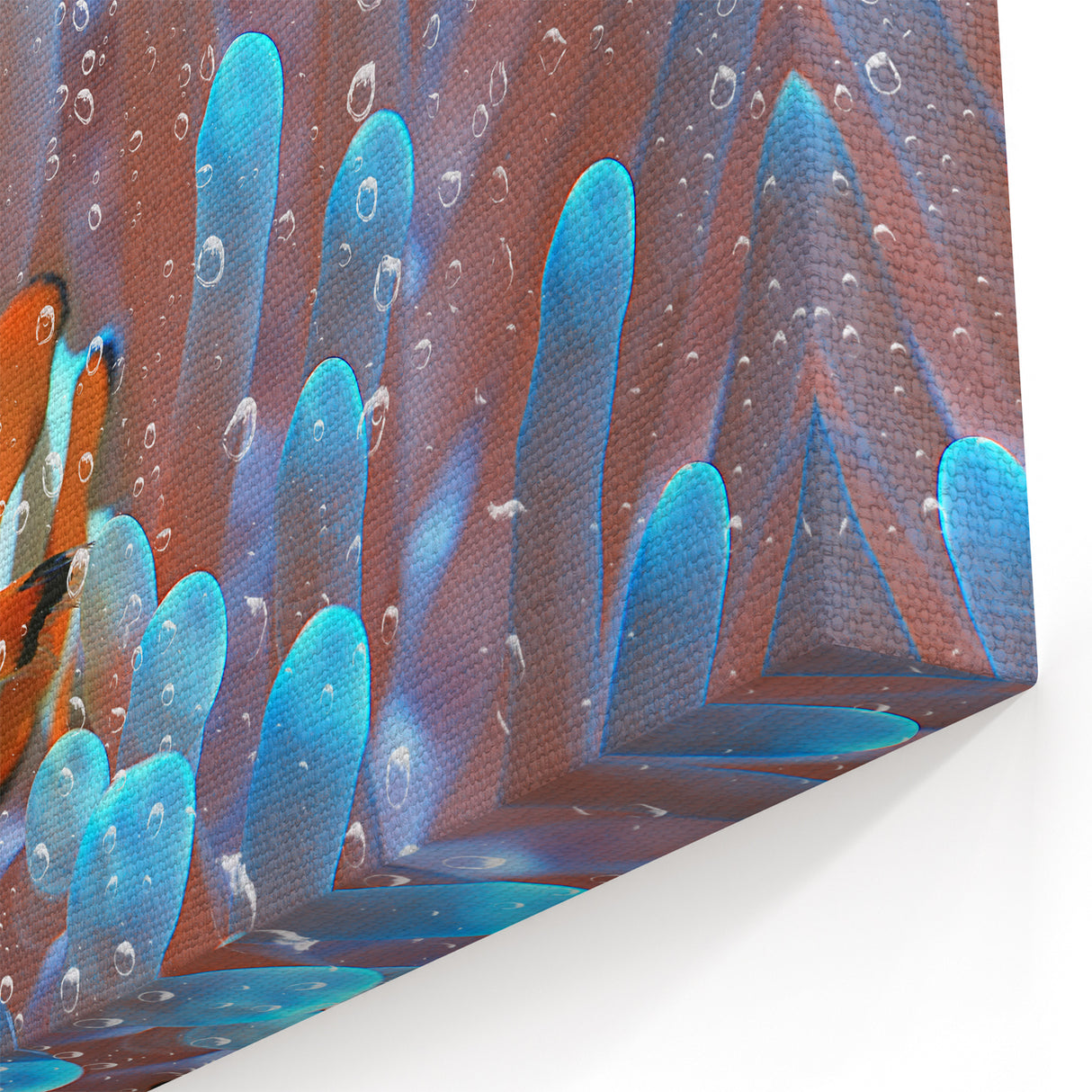 Exotic Fiji Nature Prints - Clownfish Coral Art