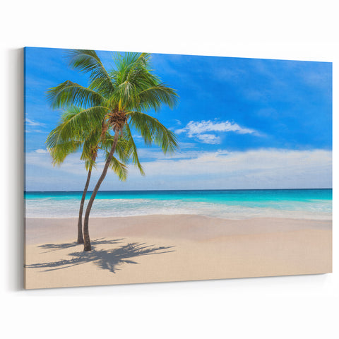 Tropical Fiji Canvas - Solitary Palm Beach Art