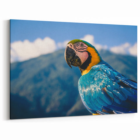 Venezuelan Wildlife Art - Colorful Parrot Against Mountain Landscape