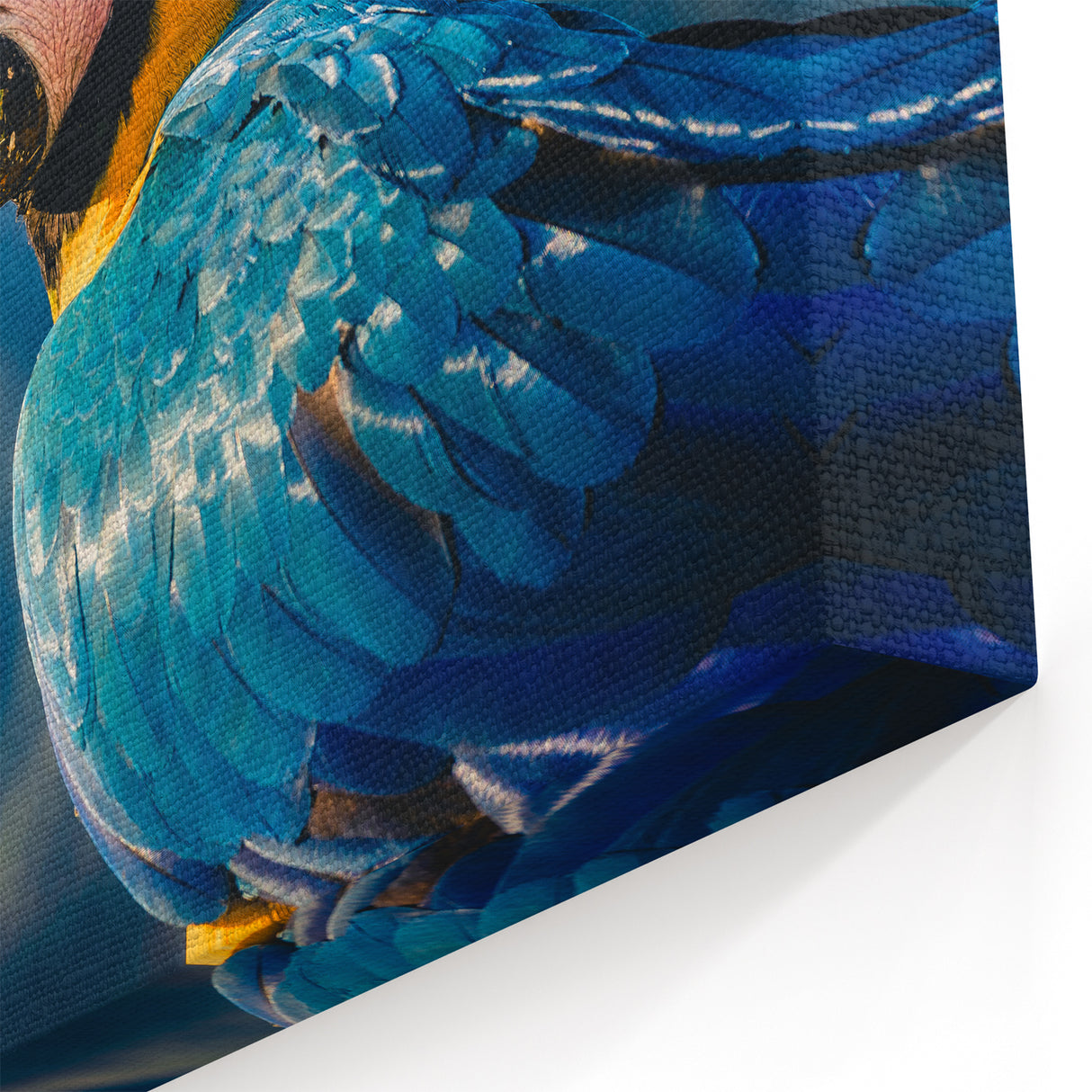 Venezuelan Wildlife Art - Colorful Parrot Against Mountain Landscape