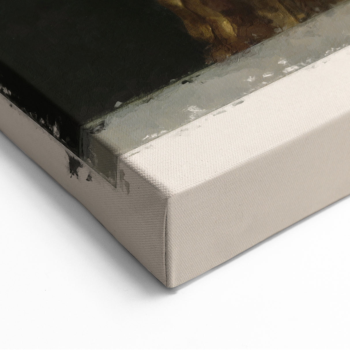 Leonardo da Vinci Art - La Belle Ferronnière Renaissance Canvas Prints