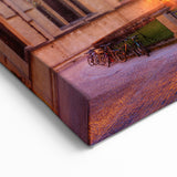 Oxford Landmarks Canvas - Radcliffe Camera Evening Glow Art