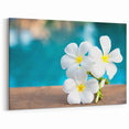 White Frangipani Art - Exotic Bora Bora Floral Print