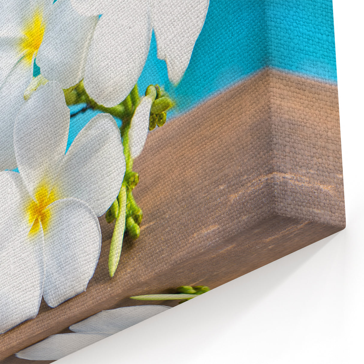 White Frangipani Art - Exotic Bora Bora Floral Print