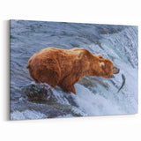 Alaskan Nature Photography - Brown Bear Fishing in Wilderness Wall Art