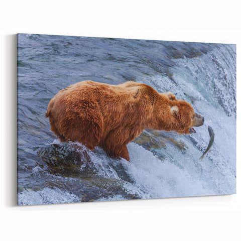 Alaskan Nature Photography - Brown Bear Fishing in Wilderness Wall Art