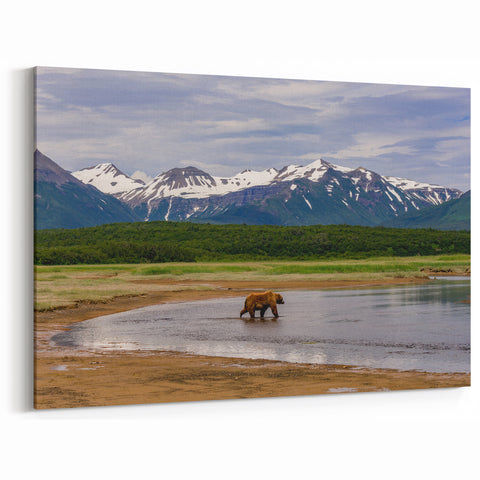 Alaska Wildlife Wall Art - Brown Bear and Mountain Wilderness Landscape Print