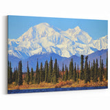Denali Alaska Wall Art - Snow-Capped Peaks and Forest Wilderness Print