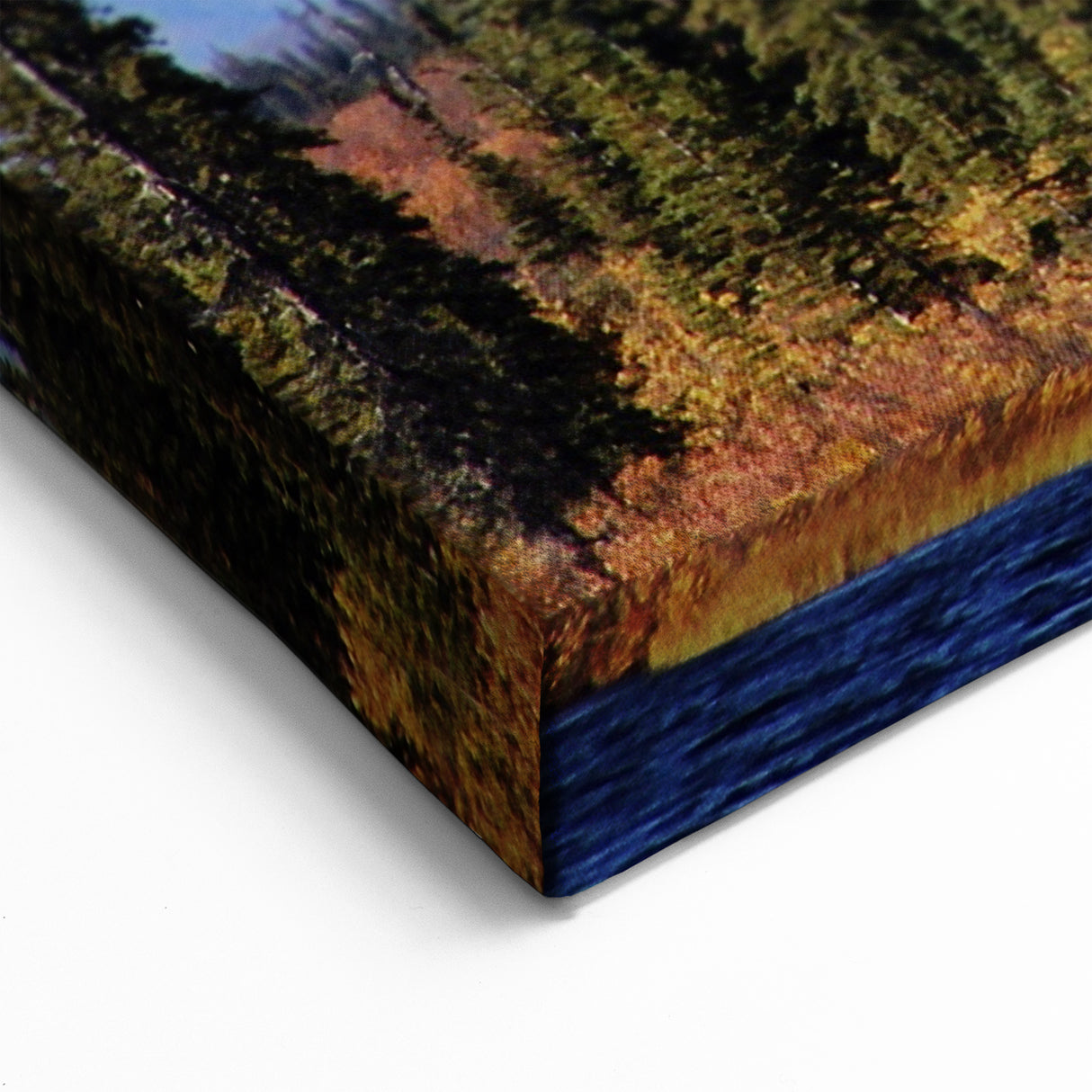 Denali Alaska Wall Art - Snow-Capped Peaks and Forest Wilderness Print