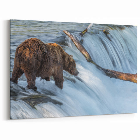 Alaska Wildlife Wall Art - Brown Bear in Waterfall Wilderness Print