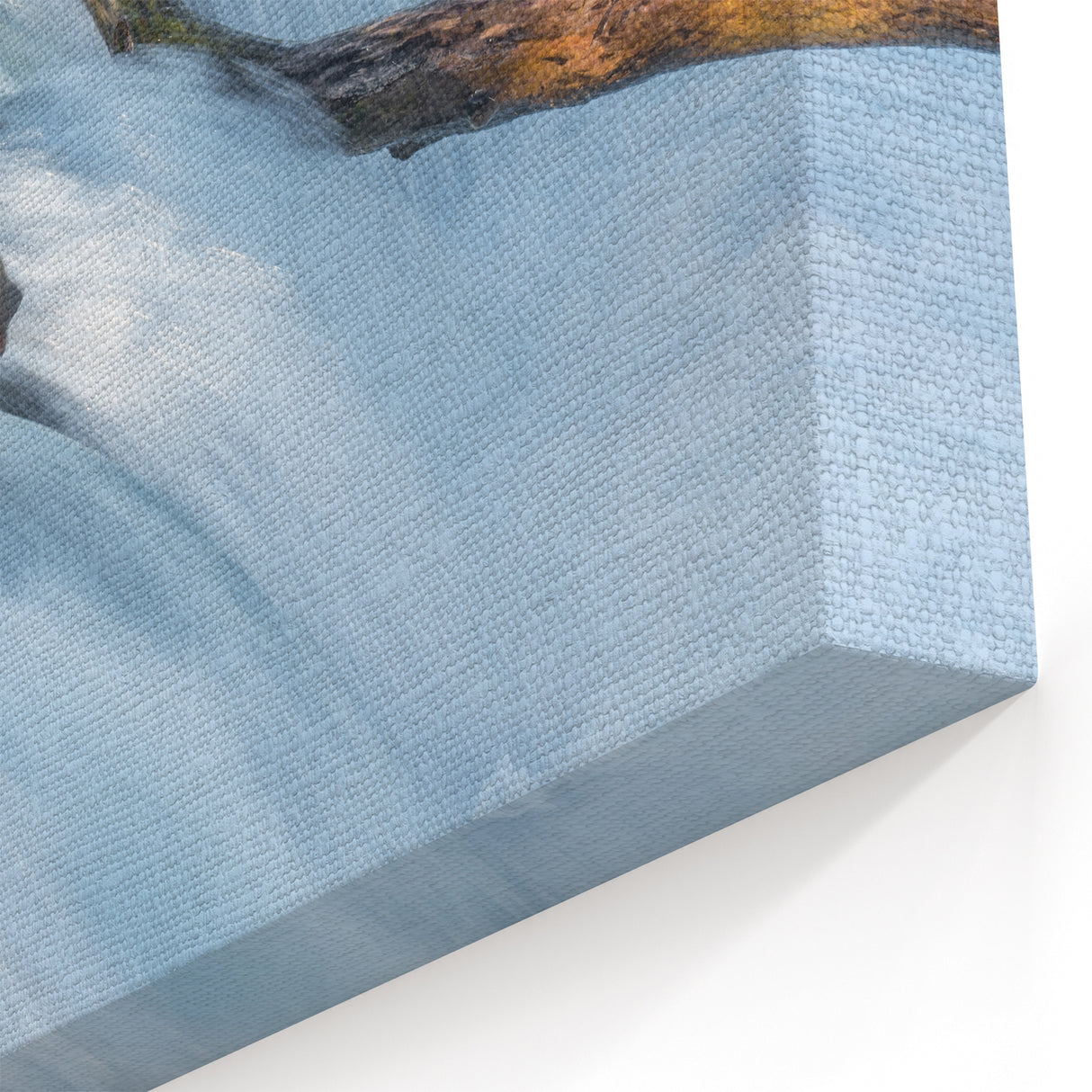 Alaska Wildlife Wall Art - Brown Bear in Waterfall Wilderness Print