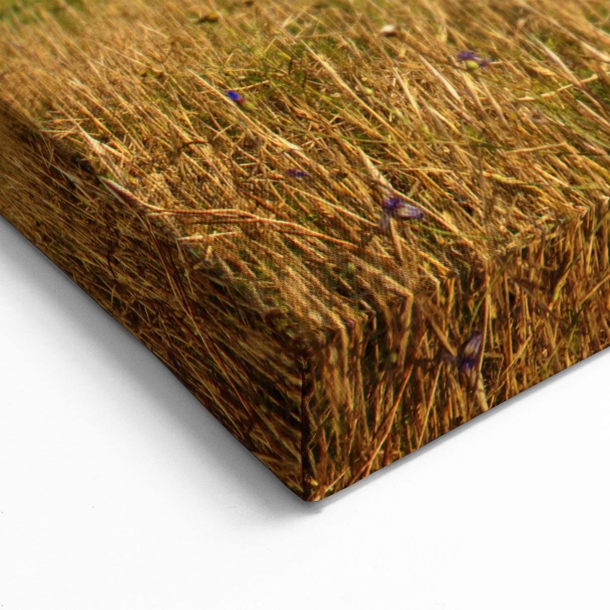 Estonia Wall Art – Traditional Windmill in the Countryside Scene