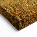 Estonia Wall Art – Traditional Windmill in the Countryside Scene