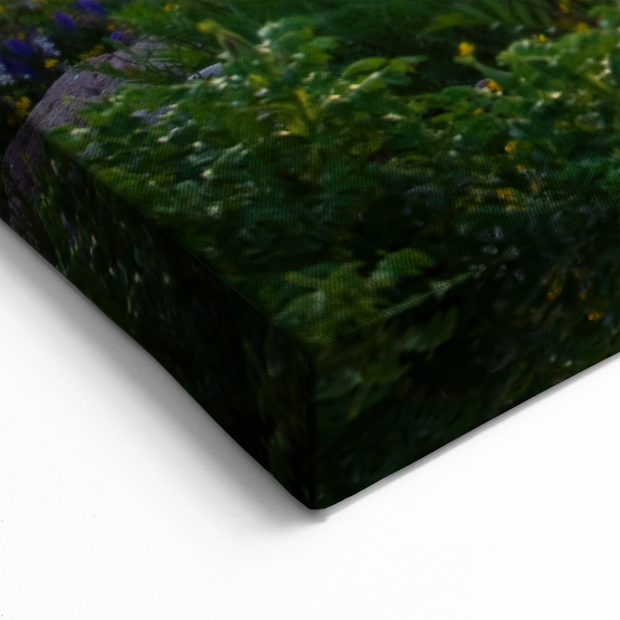 Baltic Sea Coastline Art – Sunset Over Rocky Shore Estonia