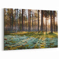 Estonian Nature Photography – Sunlit Pine Forest in Scenic Estonia