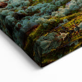 Estonian Nature Photography – Sunlit Pine Forest in Scenic Estonia