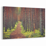 Estonian Nature Photography – Peaceful Forest Path in Estonia’s Woodlands