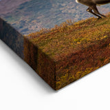 Alaska Wilderness Prints - Caribou in Denali National Park, Alaska