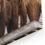 Alaskan Nature Photography - Brown Bears in Alaska’s Wild River