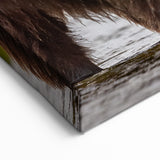 Alaskan Nature Photography - Brown Bears in Alaska’s Wild River