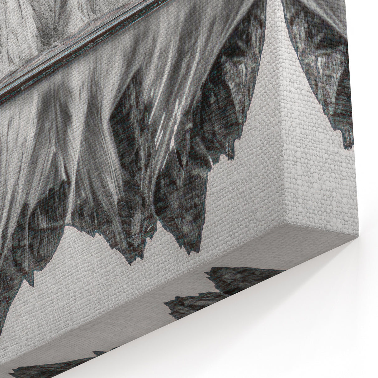 Black and White Alaska Wall Art - Majestic Mountain Reflection