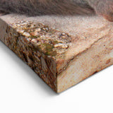 Denali National Park Art - Majestic Bear with Mount Denali Scenic Print