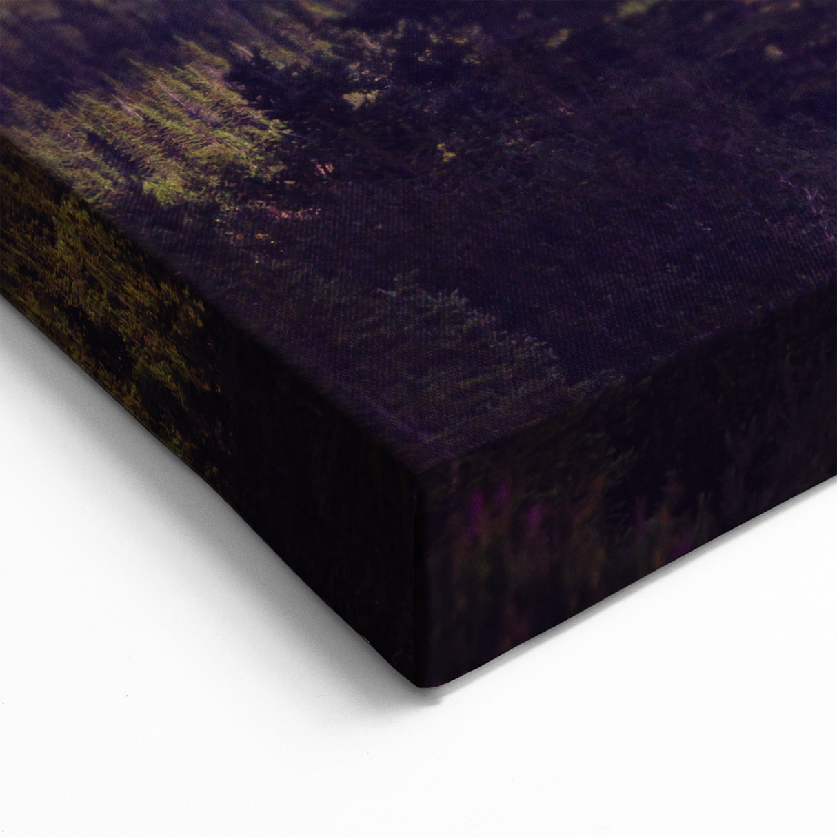 Alaska Scenic Wall Art - Snow-Capped Denali Peaks and Forest Wilderness