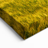 Estonia Wall Art - Windmills and Fields in Scenic Estonian Countryside