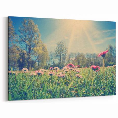 Estonian Landscape Art - Spring Meadow with Wildflowers in Bloom