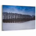 Estonian Landscape Art - Snow-Covered Winter Scene with Bare Trees