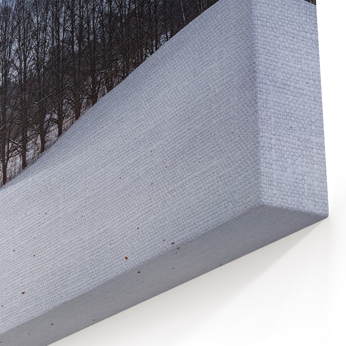 Estonian Landscape Art - Snow-Covered Winter Scene with Bare Trees