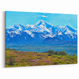 Denali Wildlife Art - Scenic Bear and Mount Denali Landscape Photography
