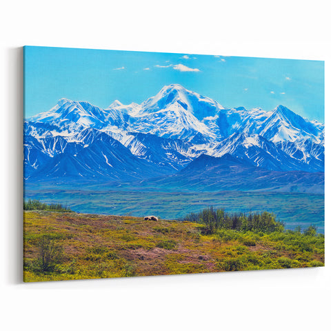 Denali Wildlife Art - Scenic Bear and Mount Denali Landscape Photography