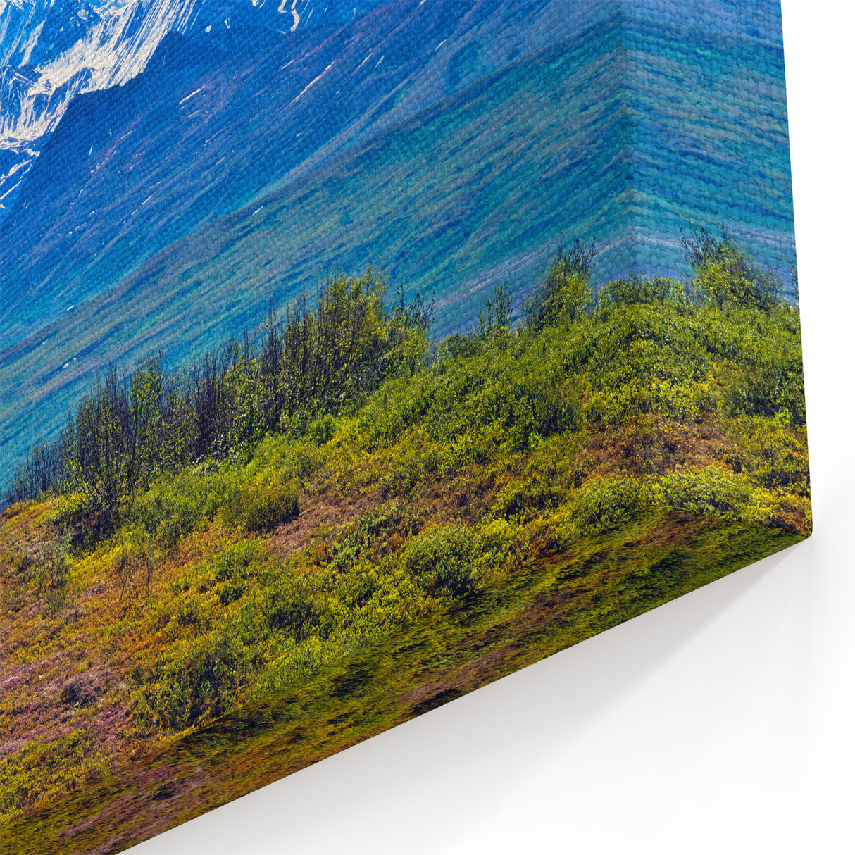 Denali Wildlife Art - Scenic Bear and Mount Denali Landscape Photography
