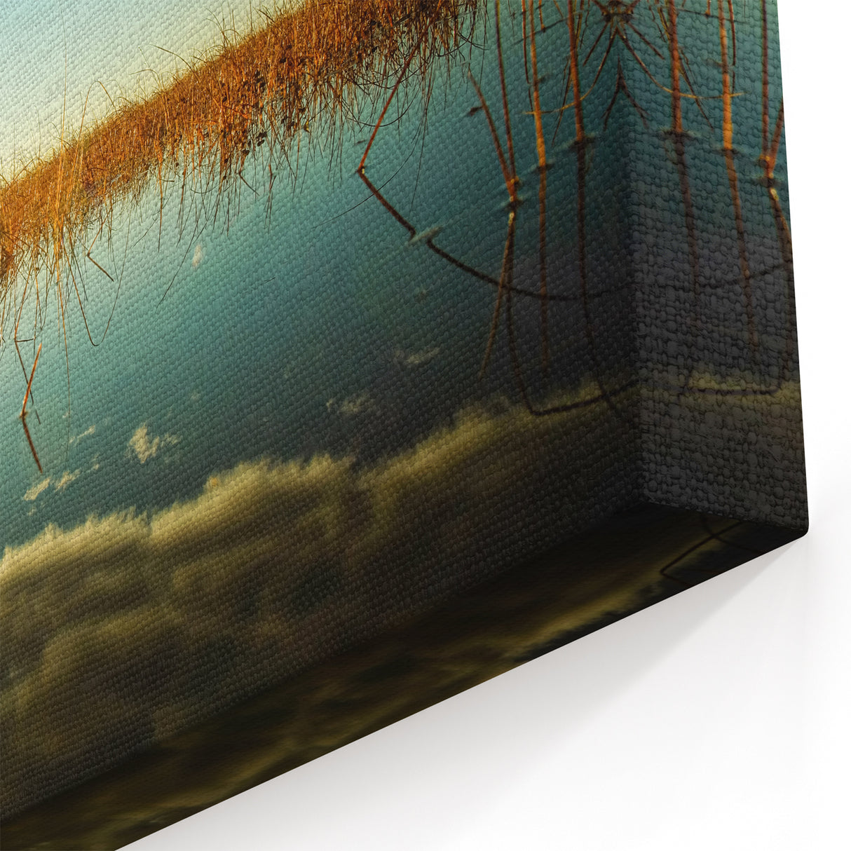 Estonian Nature Photography - Sunlit Reflections on Coastal Marshland