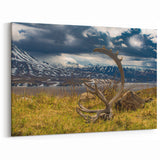 Denali Wilderness Art - Majestic Antlers and Mountains Scenic Wall Art