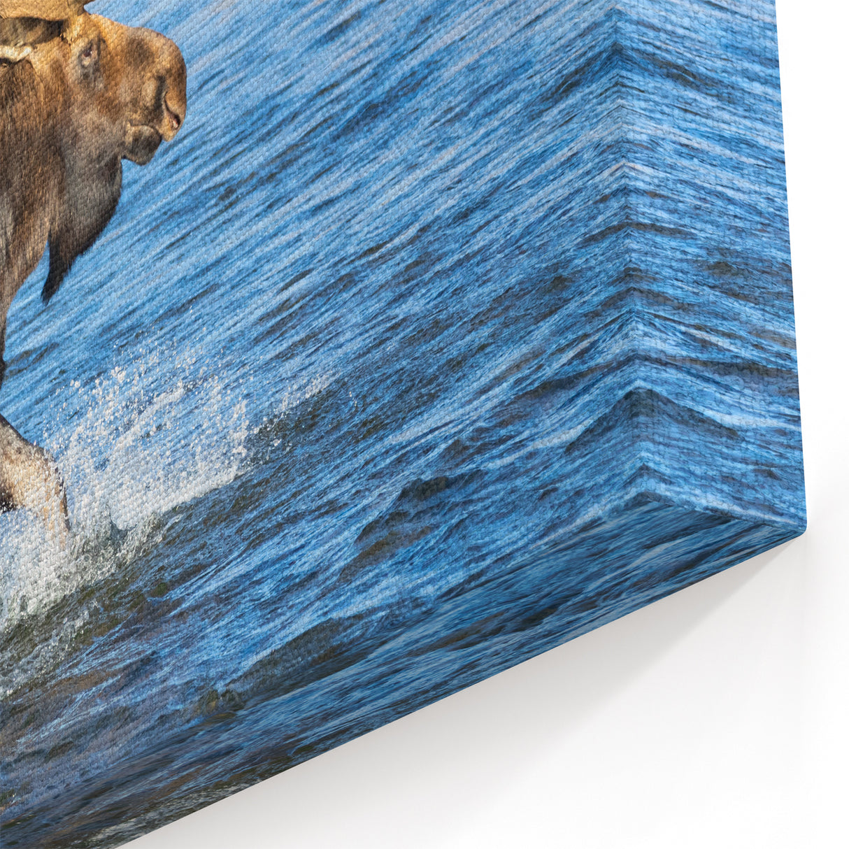 Denali Wildlife Art - Majestic Moose Crossing Alaskan River Wall Print