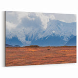 Denali Panorama Prints - Grizzly Bear in Autumn Tundra with Majestic Peaks
