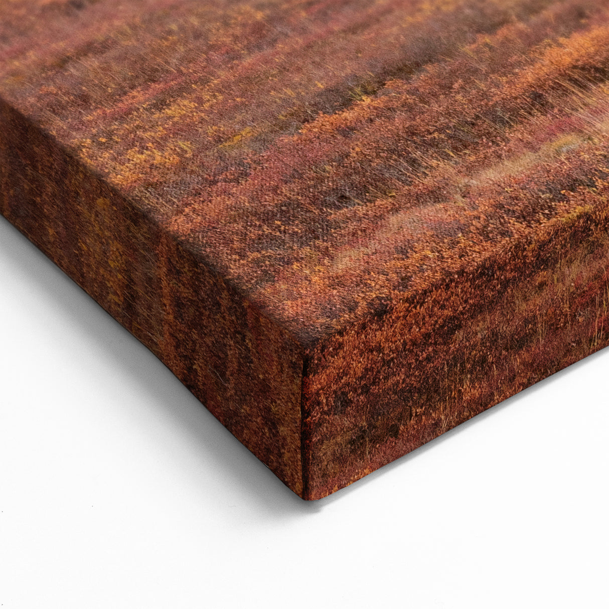 Denali Panorama Prints - Grizzly Bear in Autumn Tundra with Majestic Peaks