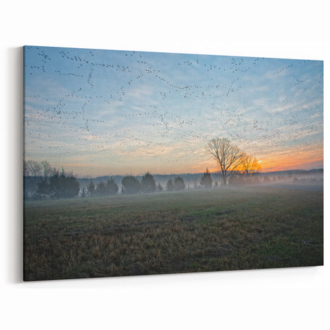 Scenic Arkansas Wall Art - Misty Dawn in the Ozarks Nature Photography