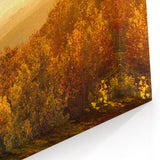 Golden Sunrise Over Autumn Forest Scenic Landscape - Ozark Mountains Art