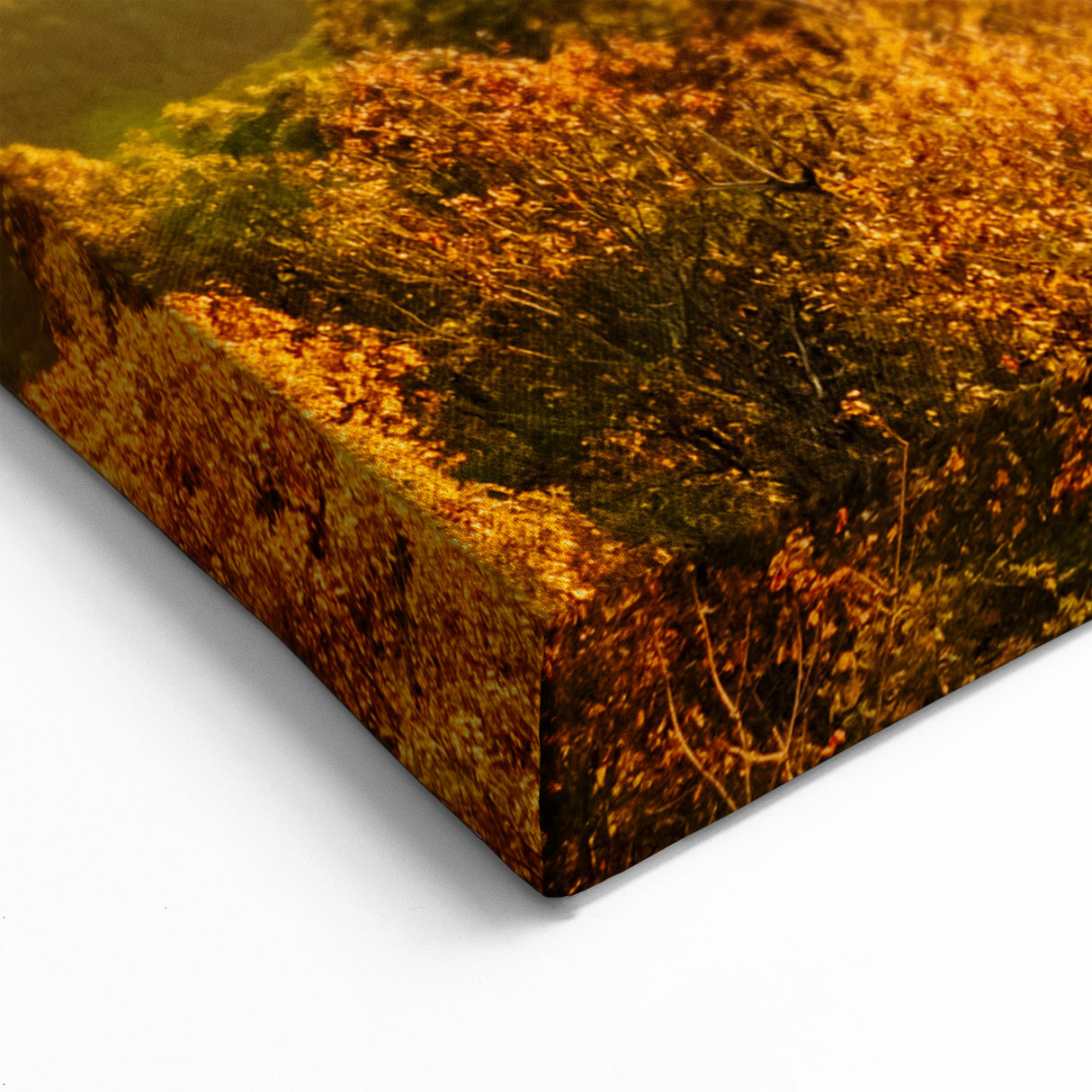 Golden Sunrise Over Autumn Forest Scenic Landscape - Ozark Mountains Art
