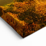 Golden Sunrise Over Autumn Forest Scenic Landscape - Ozark Mountains Art